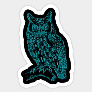 blue owl Sticker